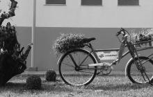 Bicicleta em foto em preto e branco